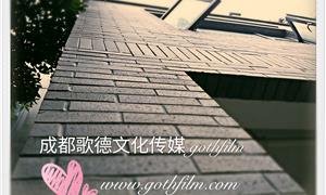 关于“我公司2016年6月初搬迁事宜”告示